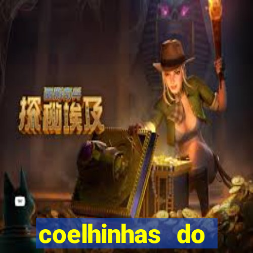 coelhinhas do brasil recife